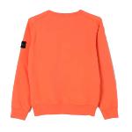 STONE ISLAND JUNIOR - Sweat orange